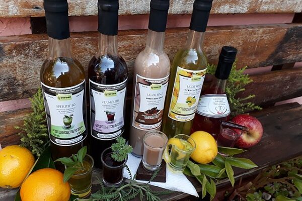 Un viaje sensorial por el mundo de los licores: Tipos y Graduaciones Alcohólicas